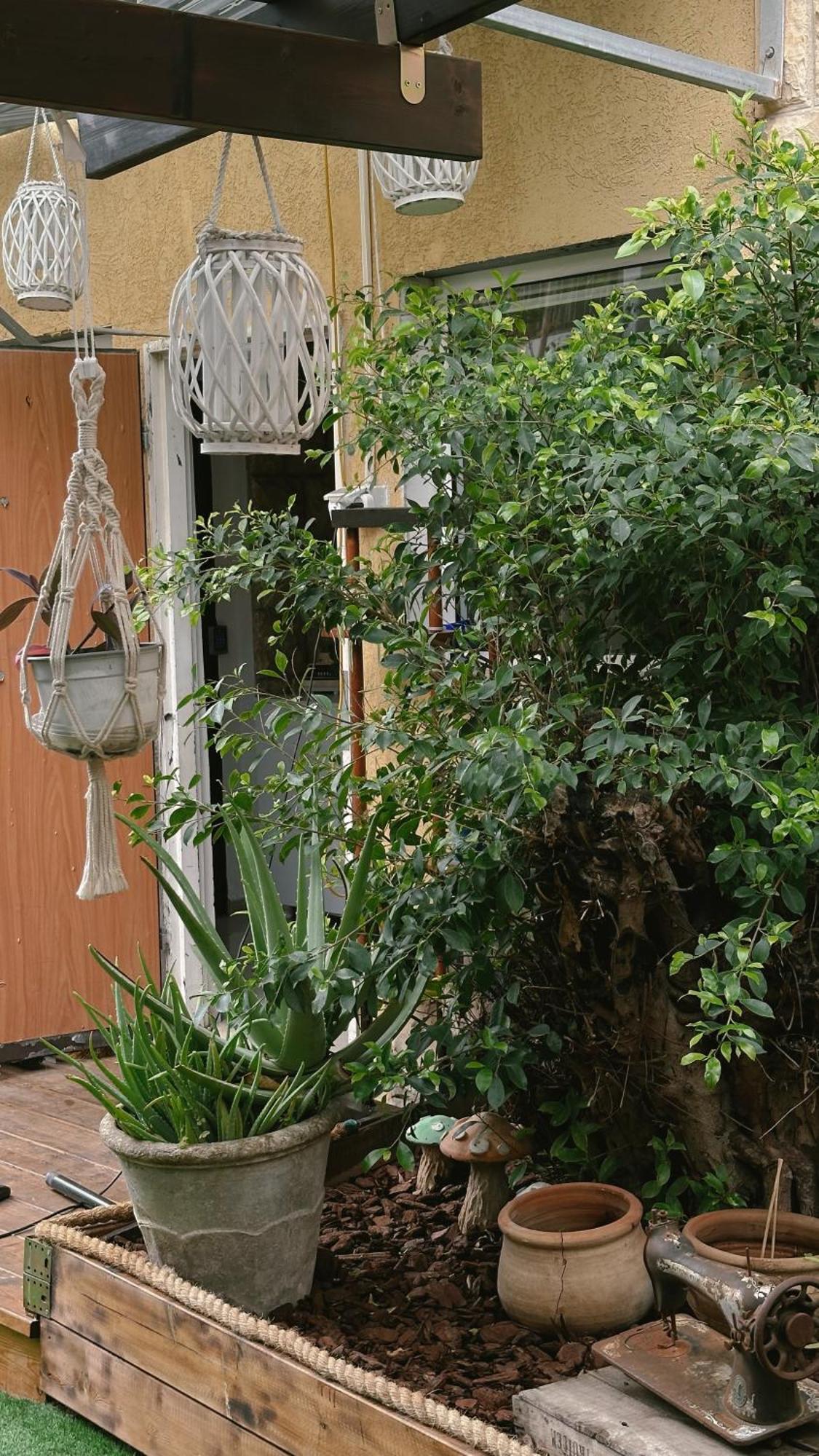 Dream House Art Hostel Garden And Terrace Haifa Buitenkant foto