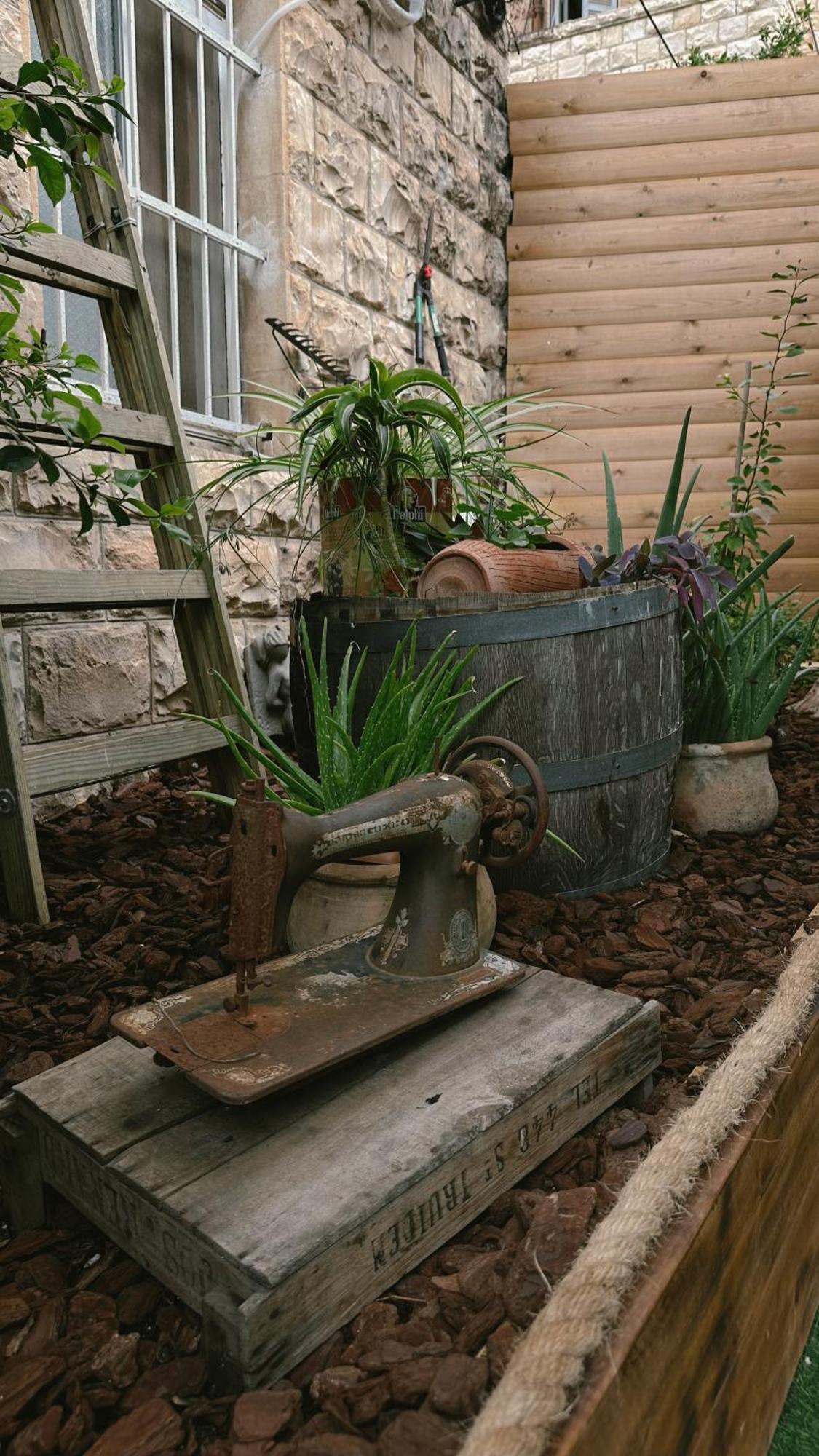 Dream House Art Hostel Garden And Terrace Haifa Buitenkant foto